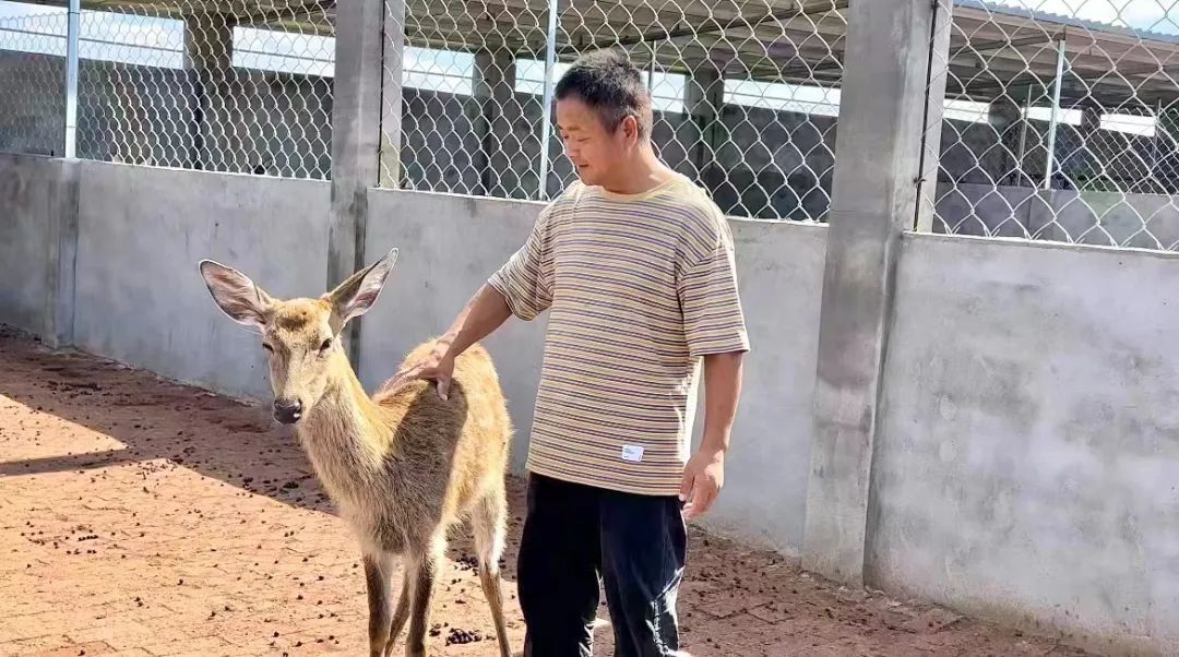 捕鱼达人2深海狩猎
